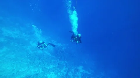 Group of divers Stock Footage 83992695