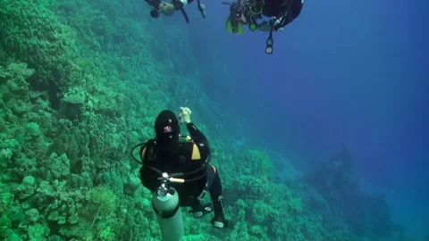 Group of divers in gear, with skill and precision, explore clear water below. Stock Footage 235770446