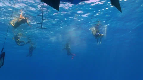 Group of divers preparing to dive Stock Footage 24269593