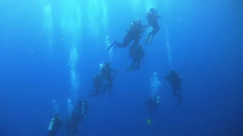 Group of Divers Preparing to Dive Stock Footage 38228996