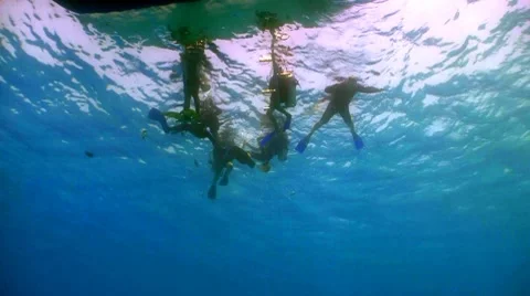 Group of divers preparing to dive, Red sea Stock Footage