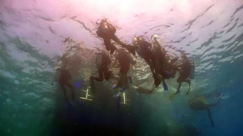 Group of divers preparing to dive, Red sea Stock Footage 7899796