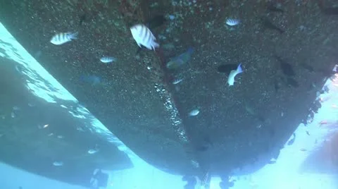 Group of divers preparing to dive, Red sea Stock Footage 12116648