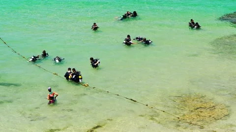 Group of divers preparing for diving in beautiful beach with turquoise water Stock Footage 149766094
