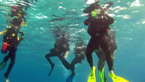 Group of divers rises to surface of water and underwater. Stock Footage 234987737