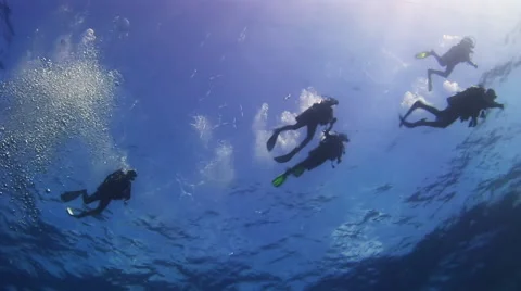 The group of divers on the sea surface. 库存影片 59136443