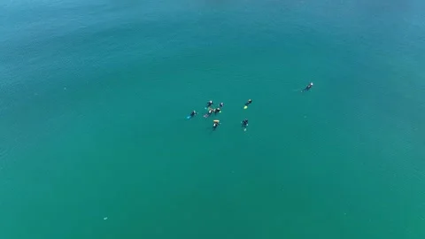 A group of divers surfaced. They swim with orange buoys in the open sea Stock Footage 260878449