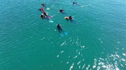 A group of divers surfaced. They swim with orange buoys in the open sea Stock Footage 261278805