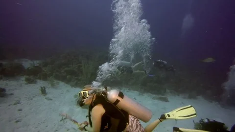 A Group of Divers Swim on Ocean Floor Stock-Footage 75798980