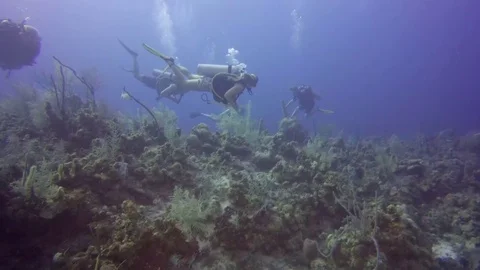 A Group of Divers Swim on Ocean Floor Stock Footage 75798984