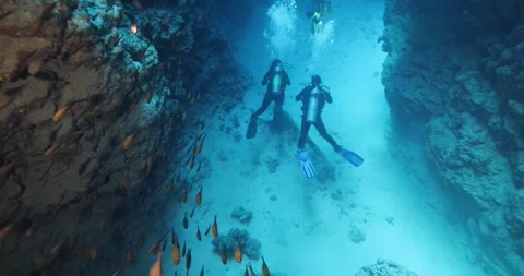 Group of divers swimming in an underwater cave canyon Stock Footage 277432968