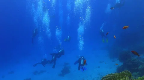 Group of divers swims over coral reefs Stock Footage 24076448