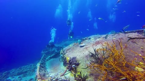 Group of divers Wreck diving in the Caribbean Sea Stock Footage 142022367
