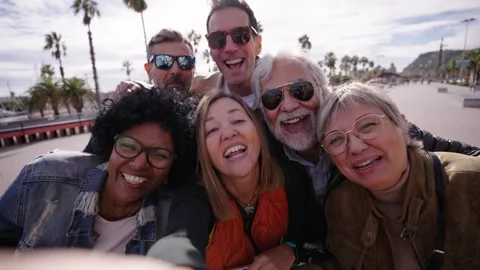Group of diverse cheerful middle-aged tourist friends making video call Stock Footage 263871743