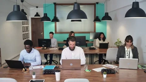 Group of diverse colleagues working on laptops Stock Footage 269344755