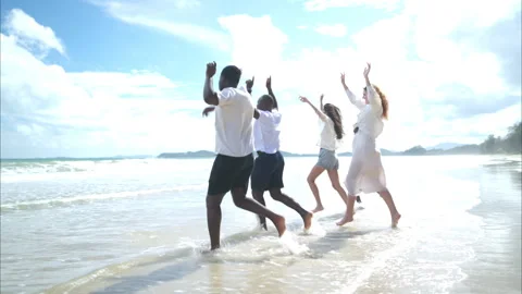 Group of diverse friends having fun at the beach Stock Footage 314013085