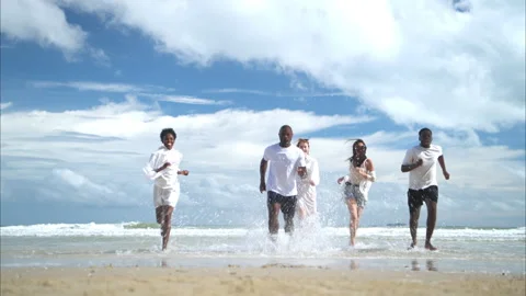 Group of diverse friends having fun at the beach Stock Footage 314028043