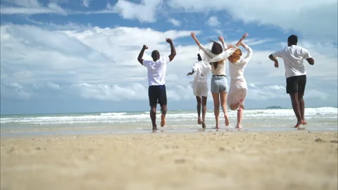 Group of diverse friends having fun at the beach Stock Footage 314028054