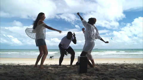 Group of diverse friends having fun at the beach Stock Footage 314028168
