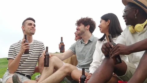 Group of diverse friends sitting on the grass talking while drinking beer Stock Footage 236754672