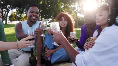Group of diverse people having fun at garden party. Happy friends drink wine  Stock Footage 289861859