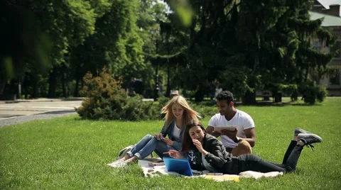 Group of diverse students studying outside campus. Stock Footage 65336325
