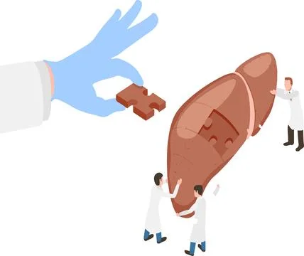 A group of doctors are working together to put a puzzle together Stock Illustration