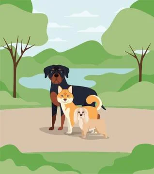 Group of dogs pets in the camp characters Stock Illustration