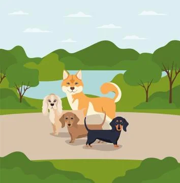 Group of dogs pets in the camp characters Stock Illustration