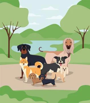 Group of dogs pets in the camp characters Stock Illustration