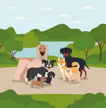 Group of dogs pets in the camp characters Stock Illustration