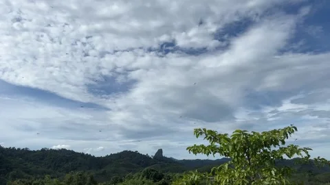 Group of dragonfly flying in the blue cloudy sky in the morning Stock Footage 263298785