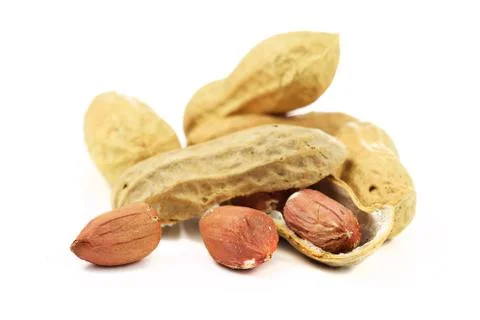 Group of dried peanuts Stock Photos
