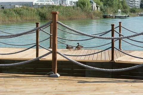 Group of ducks on a river pier, selective focus, shallow depth of field Foto stock