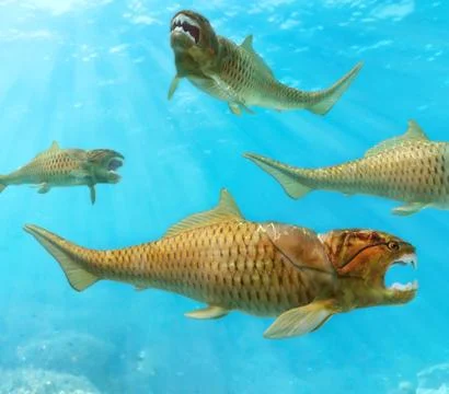 Group of Dunkleosteus Circling Illustrazione stock