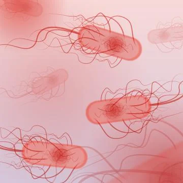 Group of E. coli Bacteria - Vector Illustration Stock Illustration