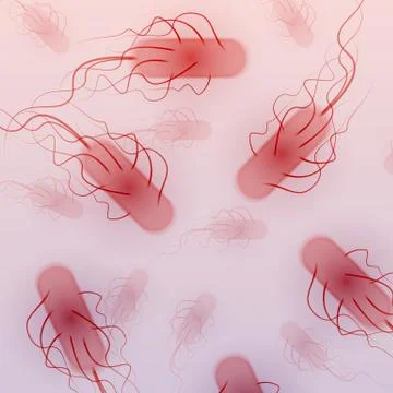 Group of E coli bacteria - Vector Illustration Stock Illustration