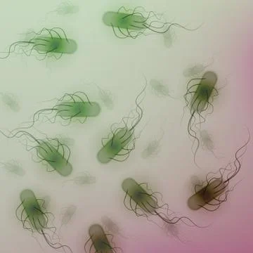 Group of E. coli Bacteria - Vector Illustration Stock Illustration