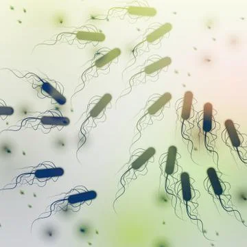 Group of E. coli Bacteria - Vector Illustration. Stock Illustration