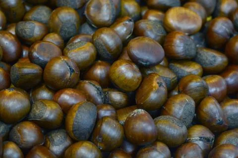 Group of edible chestnuts Stock Photos