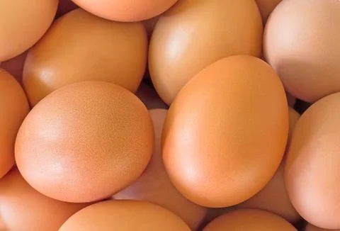 Group of Egg Background Stock Photos