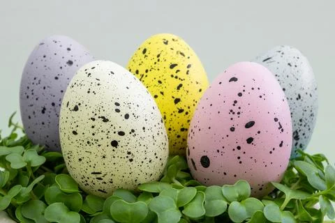 A group of eggs Easter with different colors and patterns are sitting on a .. Stock Photos