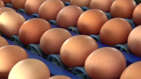 Group of eggs 스톡 동영상 274379088