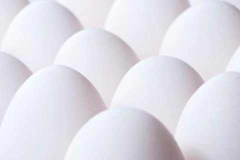 Group of eggs 스톡 사진