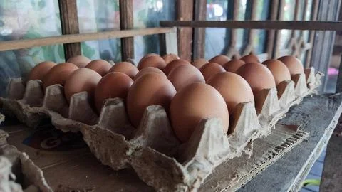 Group of eggs Stock Photos