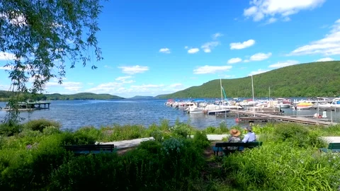 A group of elderly couples sat by the lake enjoying the view Stock Footage 171305785
