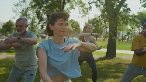 Group of Elderly People Practicing Qi Gong Outdoors Stock Footage 280574628