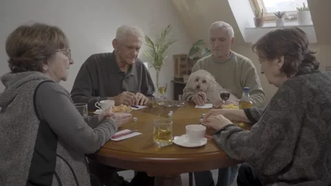 Group of elderly retired friends play board games with dice at home Stock Footage 333057875