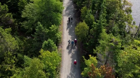 Group Of Elderly Walkers Strolling In Nature Near Forest Lake On Summer Day Stock Footage 317901428