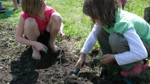 Group of elementary kids and toddler baby planting and digging in the garden Stock Footage